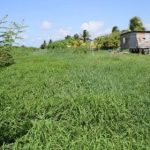 Housing Department seeking land to accommodate squatters