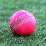 Adapting to pink ball critical says Guyana cricket head coach