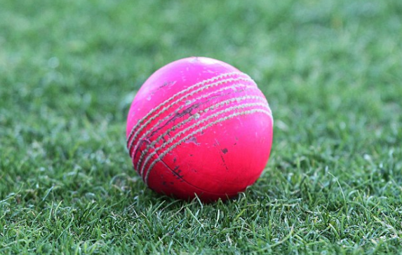 Adapting to pink ball critical says Guyana cricket head coach - News ...