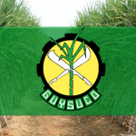 Guysuco’s survival could cost the treasury over $40 Billion in the next two years   -Agri. Minister