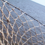 Fishing Boat Captain feared dead, crew members swim to safety following suspected pirate attack