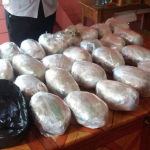 Woman among five arrested for 25 pound marijuana bust