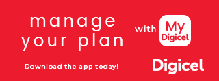 Newssourcegy 320×119 web banner