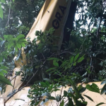 Roraima Airways plane executed 19 shuttle flights just before fatal crash   -GCAA