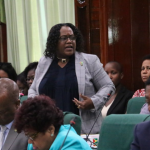 National Assembly hears of mining sector becoming more leveled playing field for all Guyanese