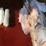 Porters released but shipper remains detained in 20 pound cocaine in fish bust