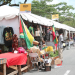 Harmony Village showcases Guyanese Culture, Food and Businesses