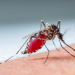 Guyana and US examining ways to continue fight against malaria in Guyana