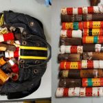 Man nabbed at JFK with 39 singing birds from Guyana in carry-on bag