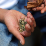 Cabinet approves proposal to remove custodial sentences for small amounts of marijuana