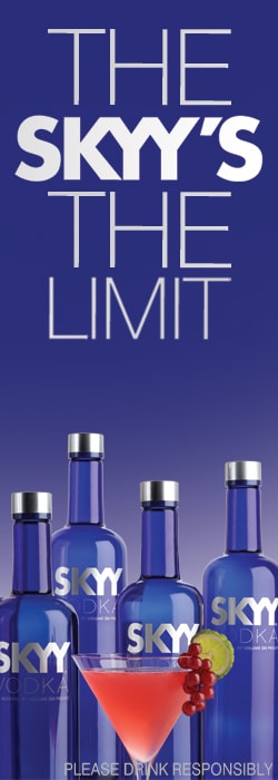 skyy-vertical-banner-min