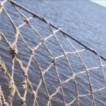 Two fishermen dead, two missing in a suspected pirate attack