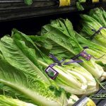 Guyana restricts import of Romaine Lettuce over E-Coli outbreak in the US