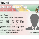 New Driver’s License to be launched before Christmas