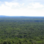 Norway releases $9.1 Billion to Guyana under Forest Agreement