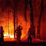 Guyana expresses sorrow over deadly Australia fires
