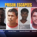 Search continues for prison escapees