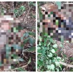 BREAKING: Teenage cousins found murdered in Cotton Tree Backdam in Berbice