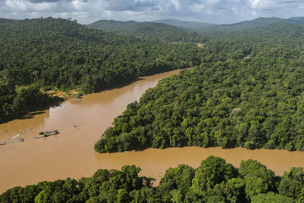 EU launches multi-million-dollar Sustainable Forests Project for Guyana ...