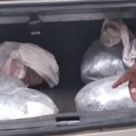 Two in custody over 33lb marijuana bust