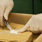CANU seized over $1 Billion worth of drugs in 2022