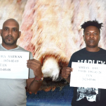 Cocaine saltfish duo remanded to jail
