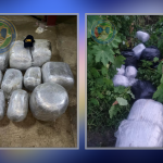 CANU finds $10 Million worth marijuana abandoned in Goat Dam; Suspects escape