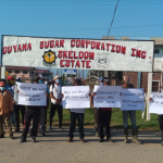 Skeldon sugar workers protest for equal benefits