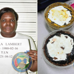 Woman busted with cocaine in frozen curry and pepperpot