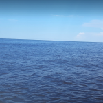 Search teams find net for trawler that sank; fishermen remain missing