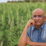 Jagdeo earmarks hemp cultivation for Regions 6 and 10 to assist with unemployment; Legislation to be tabled in May