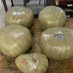 Men busted in Meadowbank with 18lbs marijuana