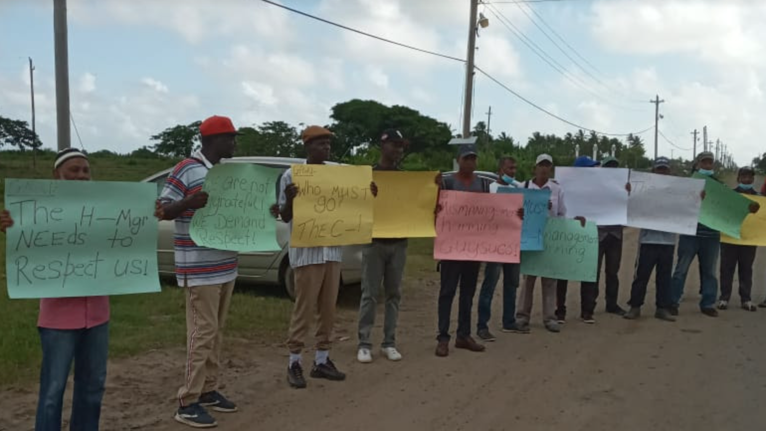 Shop Stewards picket Guysuco Albion estate – News Source Guyana Shop Stewards picket Guysuco Albion estate – News Source Guyana