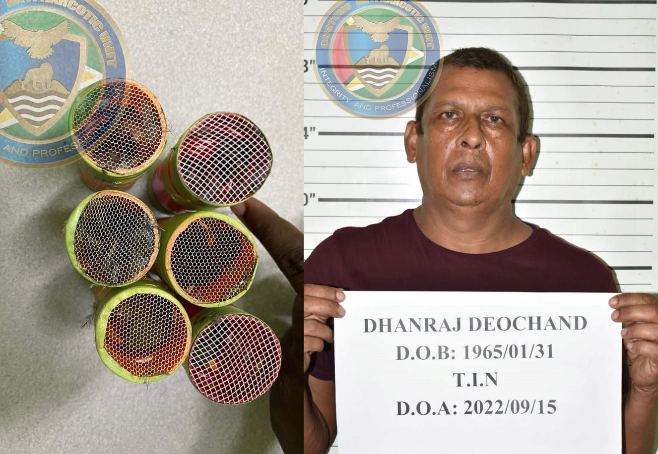 Essequibo man held with “towa-towa” birds in hair curlers at CJIA – News Source Guyana Essequibo man held with “towa-towa” birds in hair curlers at CJIA – News Source Guyana