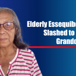 Elderly Essequibo woman slashed to death by Granddaughter