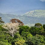 Guyana signs Forest preservation pact with EU