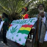 Rastafari Council calls for additional measures to allow marijuana use