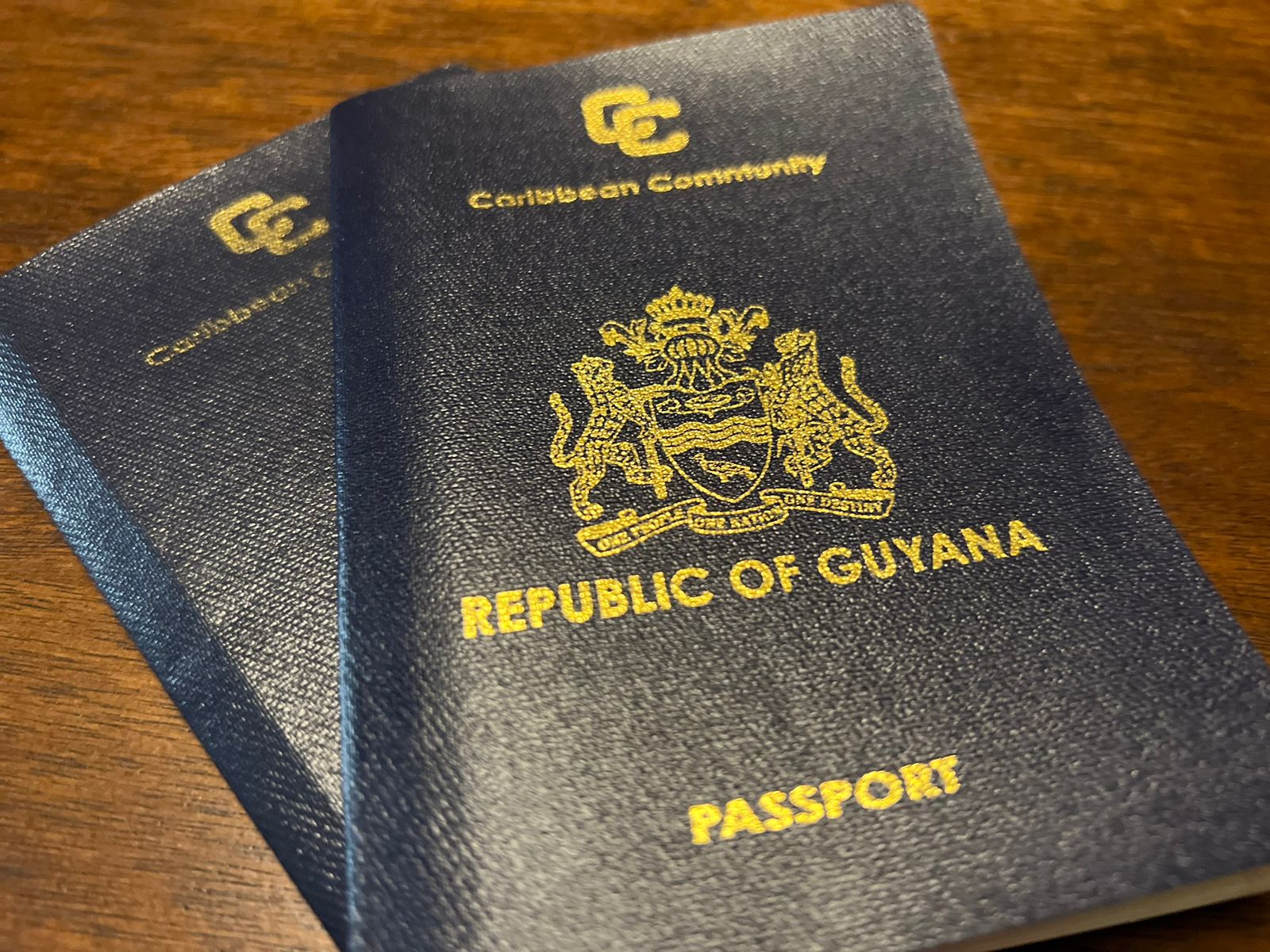 Guyana Initiate Talks With Canada And Italy For Visa Free Travel News 