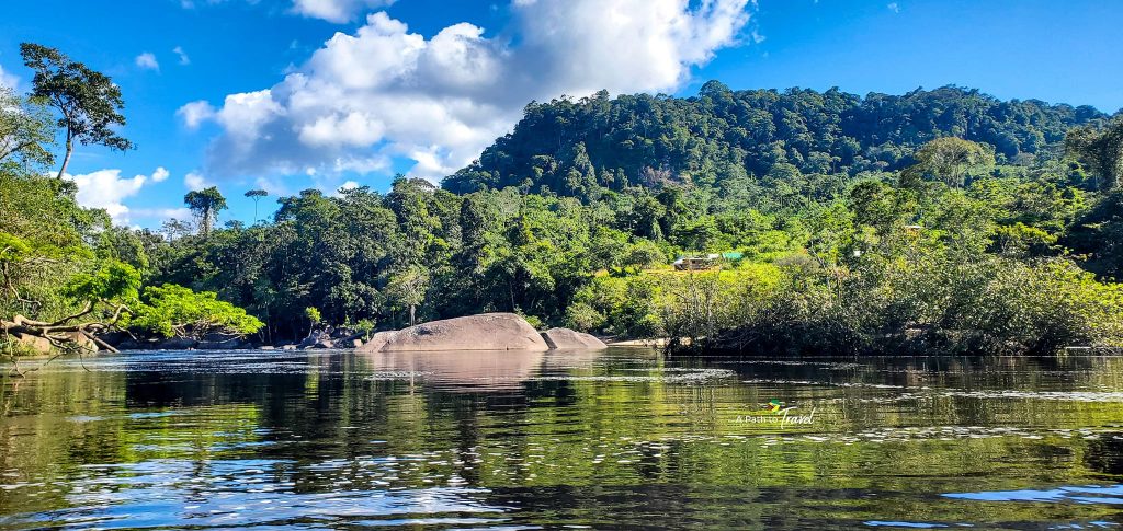 Indigenous set to receive money on Wednesday from sale of carbon credits -Pres. announces – News Source Guyana