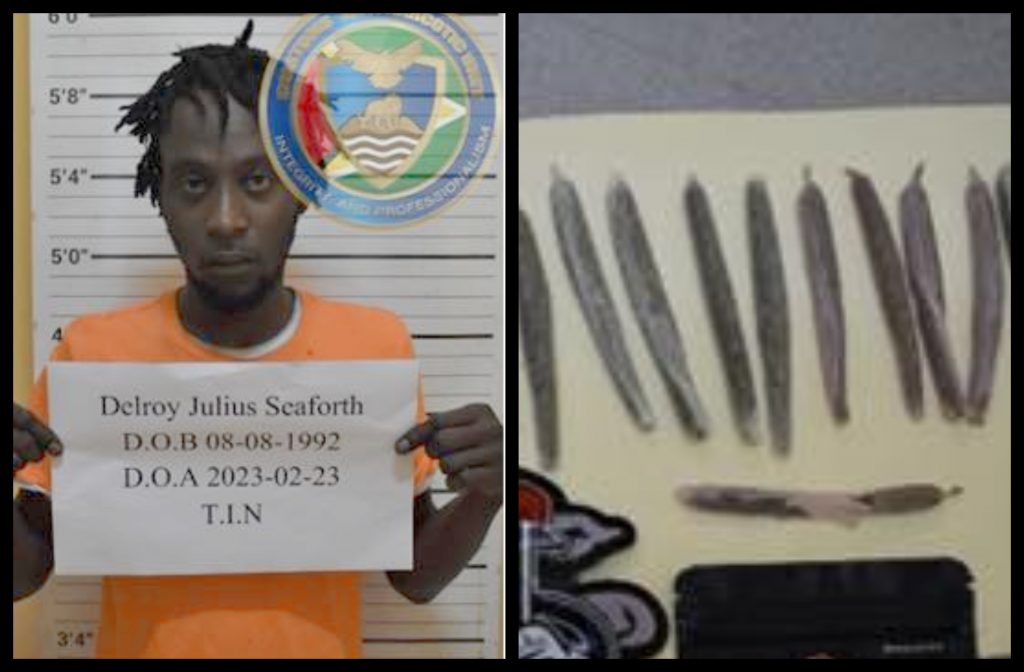 Three days of community service and ,000 fine for American man who arrived at CJIA with marijuana joints – News Source Guyana