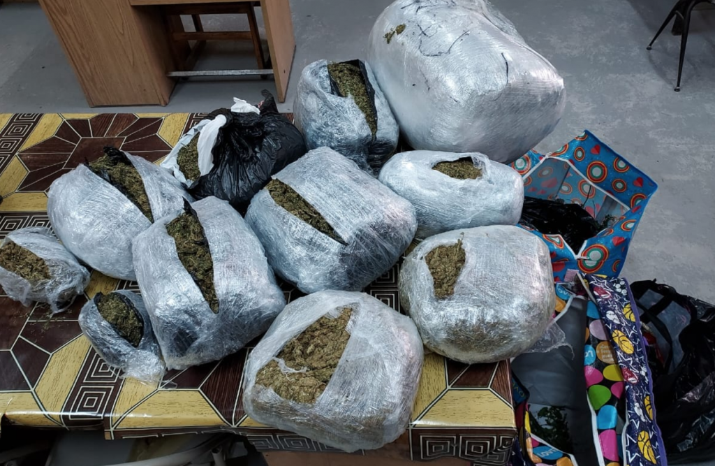 Sophia man held in Berbice with over 35 pounds of marijuana – News Source Guyana Sophia man held in Berbice with over 35 pounds of marijuana – News Source Guyana
