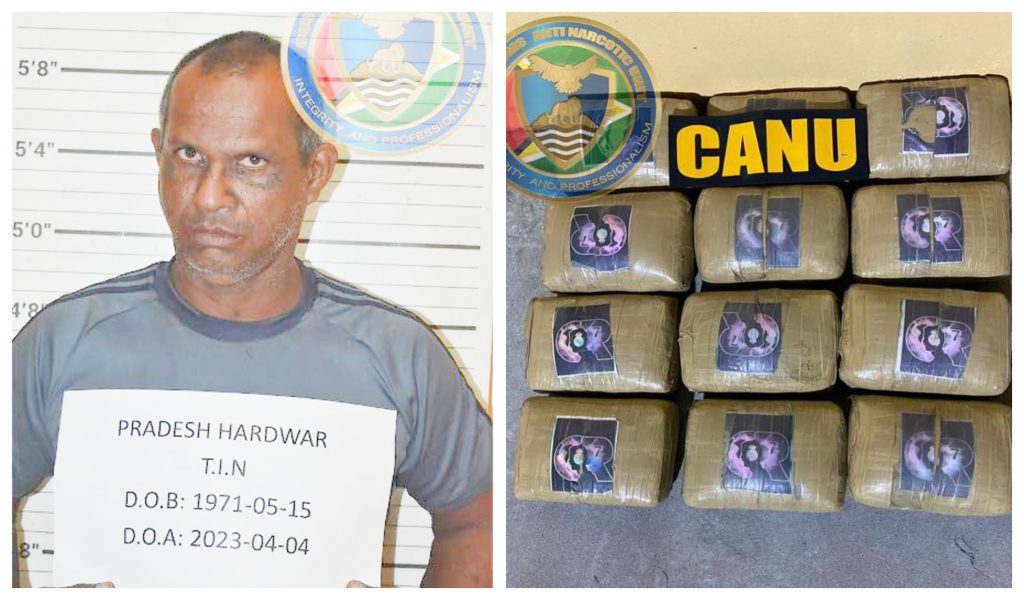 Zeelugt man held with over 30 pounds of “foreign weed” – News Source Guyana