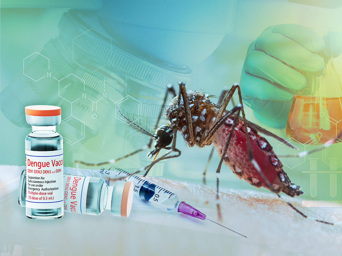 Mosquito-and-dengue-vaccine