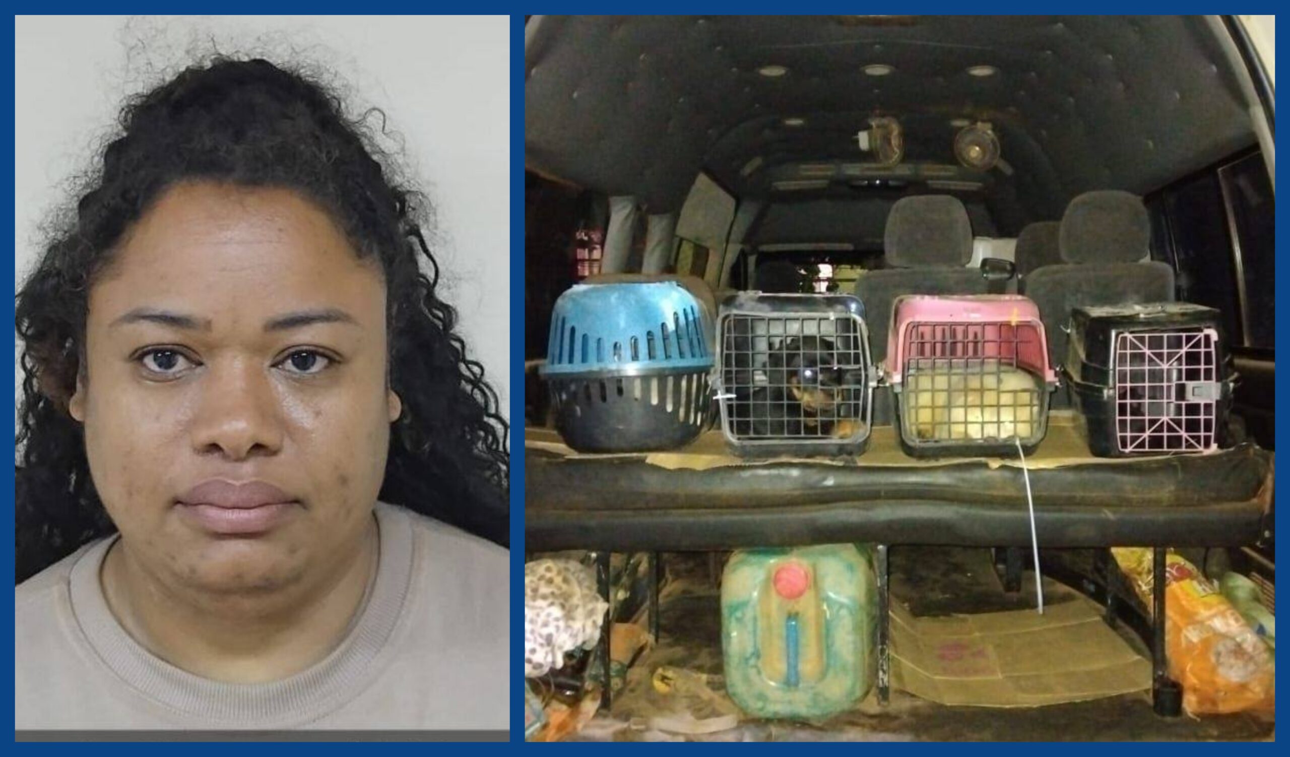 $20,000 fine for woman convicted of illegally importing dogs from Brazil