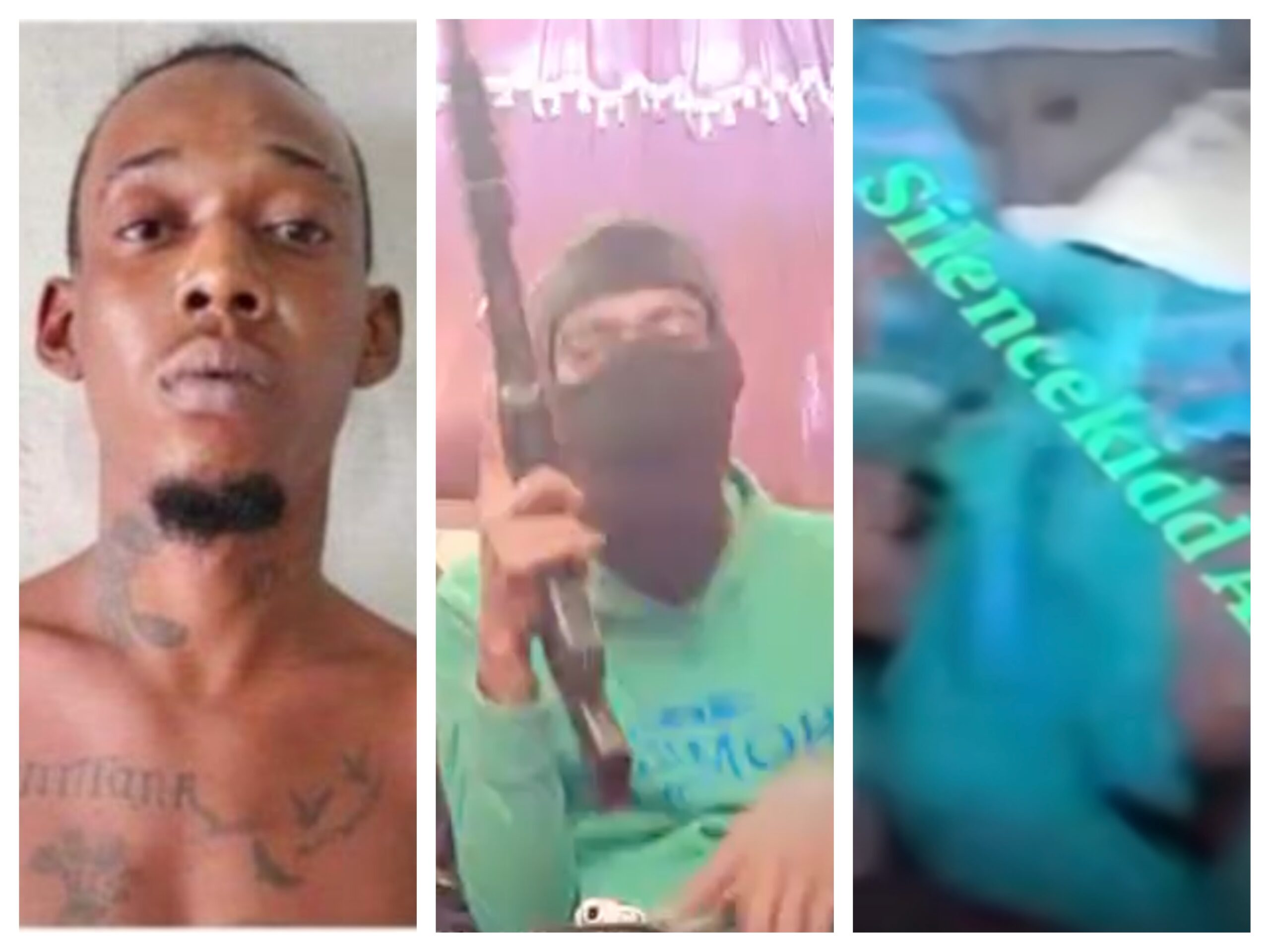 Burnt remains believed to be those of wanted man in viral shooting video discovered in Linden