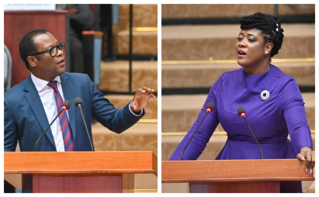 Todd and Walton-Desir spar over foreign policy and migration situation