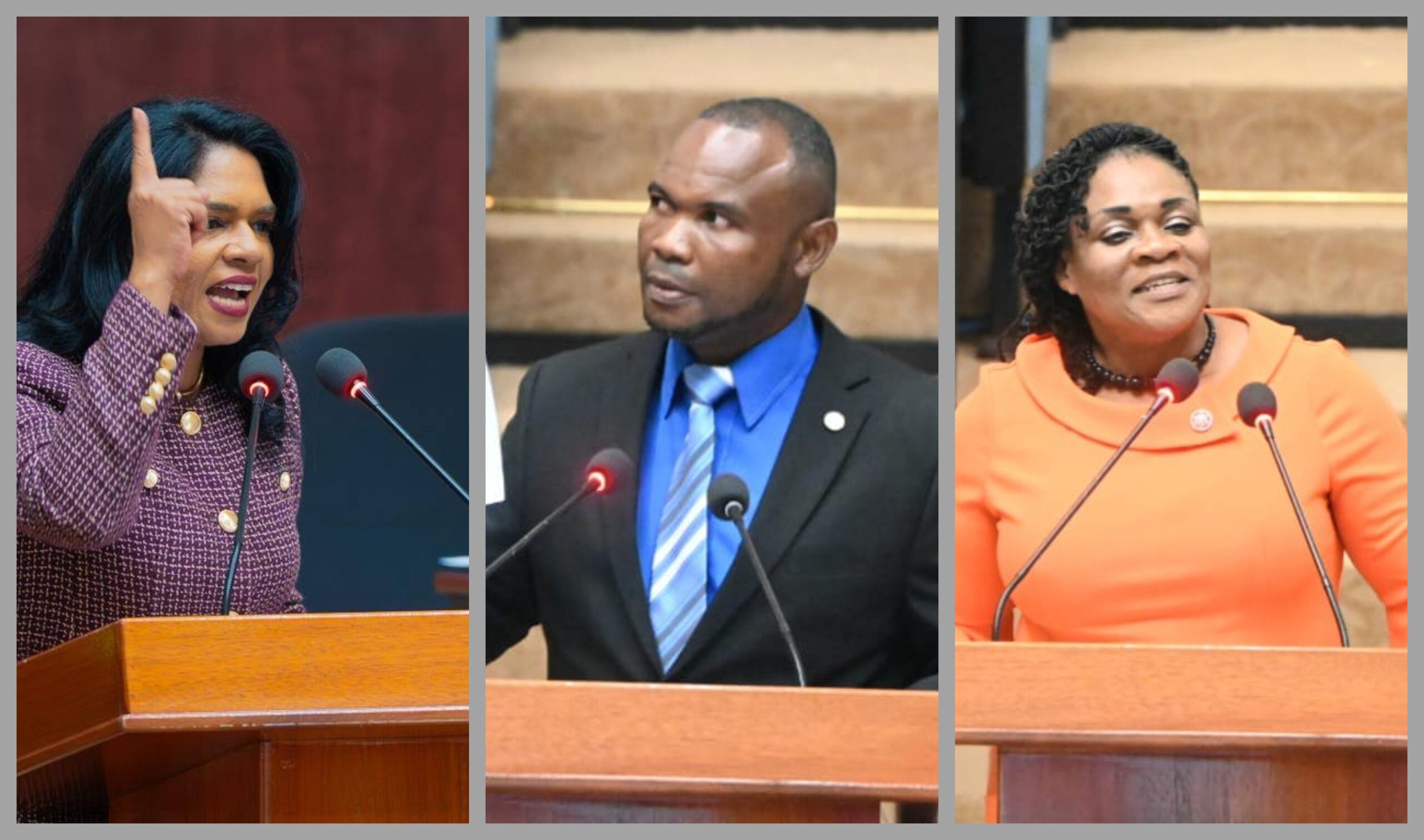 Education Minister and Opposition MPs clash over state of education sector
