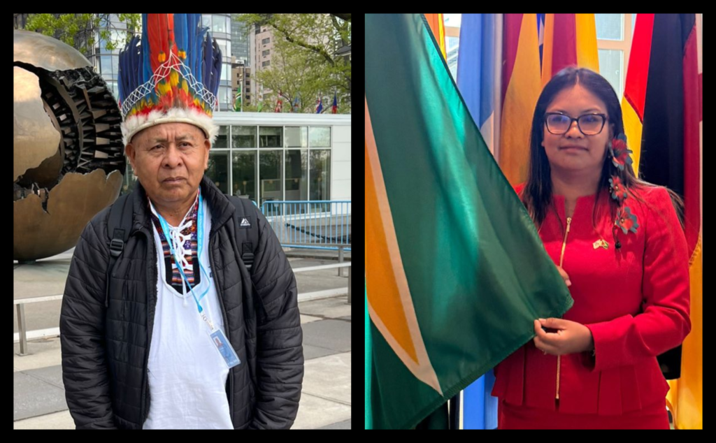 APA and Amerindian Affairs Minister offer varying accounts of access to health services at UN Forum